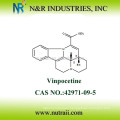 Vinpocetina 42971-09-5 99% USP / BP / EP